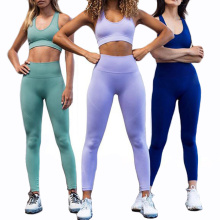 A academia colorida personalizada usa perneiras sem costura de ioga definir roupas de exercícios para mulher